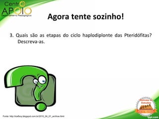 3. Quais são as etapas do ciclo haplodiplonte das Pteridófitas?
Descreva-as.
Fonte: http://icefboy.blogspot.com.br/2010_04_01_archive.html
Agora tente sozinho!
 