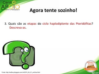 3. Quais são as etapas do ciclo haplodiplonte das Pteridófitas?
Descreva-as.
Fonte: http://icefboy.blogspot.com.br/2010_04_01_archive.html
Agora tente sozinho!
 