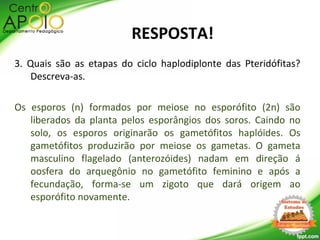 3. Quais são as etapas do ciclo haplodiplonte das Pteridófitas?
Descreva-as.
Os esporos (n) formados por meiose no esporófito (2n) são
liberados da planta pelos esporângios dos soros. Caindo no
solo, os esporos originarão os gametófitos haplóides. Os
gametófitos produzirão por meiose os gametas. O gameta
masculino flagelado (anterozóides) nadam em direção á
oosfera do arquegônio no gametófito feminino e após a
fecundação, forma-se um zigoto que dará origem ao
esporófito novamente.
RESPOSTA!
 