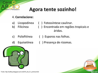 4. Correlacione:
a) Licopodinea ( ) Fotossíntese caulinar.
b) Filicínea ( ) Encontrada em regiões tropicais e
áridas.
c) Psilofitínea ( ) Esporos nas folhas.
d) Equisetínea ( ) Presença de rizomas.
Fonte: http://icefboy.blogspot.com.br/2010_04_01_archive.html
Agora tente sozinho!
 