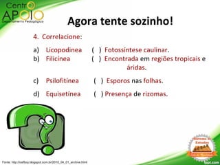 4. Correlacione:
a) Licopodinea ( ) Fotossíntese caulinar.
b) Filicínea ( ) Encontrada em regiões tropicais e
áridas.
c) Psilofitínea ( ) Esporos nas folhas.
d) Equisetínea ( ) Presença de rizomas.
Fonte: http://icefboy.blogspot.com.br/2010_04_01_archive.html
Agora tente sozinho!
 