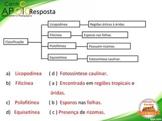 Resposta
a) Licopodinea ( d ) Fotossíntese caulinar.
b) Filicínea ( a ) Encontrada em regiões tropicais e
áridas.
c) Psilofitínea ( b ) Esporos nas folhas.
d) Equisetínea ( c ) Presença de rizomas.
Classificação
Regiões árticas à áridas.
Esporos nas folhas.Filicínea
Possuem rizomas.Psilofitínea
Fotossíntese caulinar.Equisetínea
Licopodinea
 