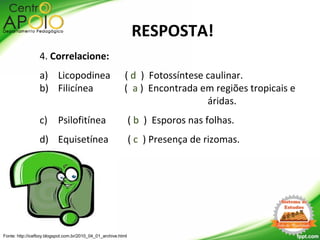4. Correlacione:
a) Licopodinea ( d ) Fotossíntese caulinar.
b) Filicínea ( a ) Encontrada em regiões tropicais e
áridas.
c) Psilofitínea ( b ) Esporos nas folhas.
d) Equisetínea ( c ) Presença de rizomas.
Fonte: http://icefboy.blogspot.com.br/2010_04_01_archive.html
RESPOSTA!
 