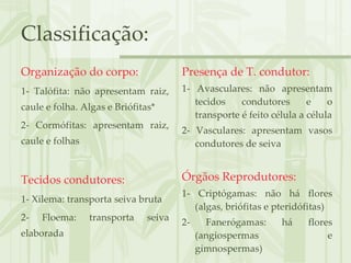 Classificação: Organização do corpo: 1- Talófita: não apresentam raiz, caule e folha. Algas e Briófitas* 2- Cormófitas: apresentam raiz, caule e folhas Tecidos condutores: 1- Xilema: transporta seiva bruta 2- Floema: transporta seiva elaborada Presença de T. condutor: 1- Avasculares: não apresentam tecidos condutores e o transporte é feito célula a célula 2- Vasculares: apresentam vasos condutores de seiva Órgãos Reprodutores: 1- Criptógamas: não há flores (algas, briófitas e pteridófitas) 2- Fanerógamas: há flores (angiospermas e gimnospermas) 