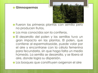    Gimnospermas




   Fueron las primeras plantas con semilla pero
    no producen frutos,
   Los mas conocidos son la coníferas.
   El desarrollo del polen y las semillas tuvo un
    gran impacto en las plantas. El polen, que
    contiene al espermatozoide, puede volar por
    el aire y encontrarse con la célula femenina
    para fecundarla, sin que haga falta un medio
    húmedo. La semilla se desarrolla, y se libera al
    aire, donde logra su dispersión.
   Los bosques que constituyen oxigenan el aire
 