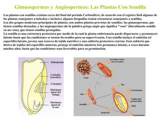 Gimnospermas y Angiospermas: Las Plantas Con Semilla Las plantas con semillas existían cerca del final del período Carboní...