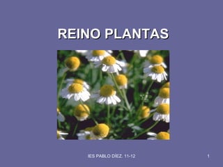 REINO PLANTAS




   IES PABLO DÍEZ. 11-12   1
 