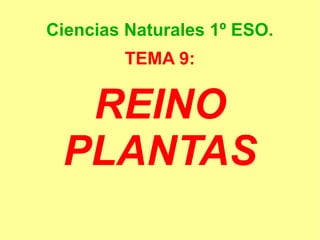Ciencias Naturales 1º ESO.
TEMA 9:
REINO
PLANTAS
 
