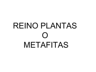 REINO PLANTAS
O
METAFITAS
 