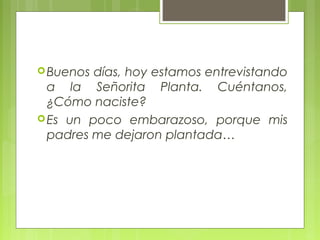 Buenos días, hoy estamos entrevistando
a la Señorita Planta. Cuéntanos,
¿Cómo naciste?
Es un poco embarazoso, porque mis...