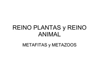 REINO PLANTAS y REINO ANIMAL METAFITAS y METAZOOS 