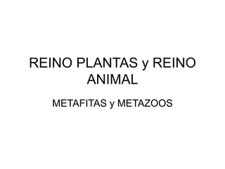 REINO PLANTAS y REINO
ANIMAL
METAFITAS y METAZOOS
 