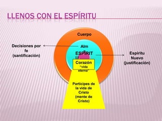 LLENOS CON EL ESPÍRITU

                     Cuerpo

 Decisiones por        Alm
        fe              a
                    ESPÍRIT           Espíritu
 (santificación)
                    U                  Nuevo
                    Corazón        (justificación)
                       “vida
                      eterna”



                   Participes de
                    la vida de
                      Cristo
                    (mente de
                      Cristo)
 