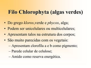Filo Chlorophyta (algas verdes)
• Do grego kloros,verde e phycos, alga;
• Podem ser unicelulares ou multicelulares;
• Apresentam talos na estrutura dos corpos;
• São muito parecidas com os vegetais:
– Apresentam clorofila a e b como pigmento;
– Parede celular de celulose;
– Amido como reserva energética.
 