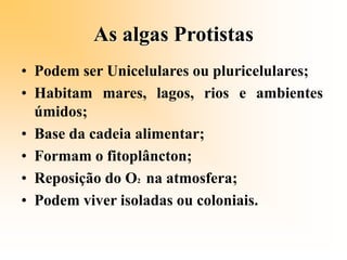 As algas Protistas
• Podem ser Unicelulares ou pluricelulares;
• Habitam mares, lagos, rios e ambientes
úmidos;
• Base da cadeia alimentar;
• Formam o fitoplâncton;
• Reposição do O2 na atmosfera;
• Podem viver isoladas ou coloniais.
 