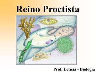 Reino Proctista
Prof. Letícia - Biologia
 