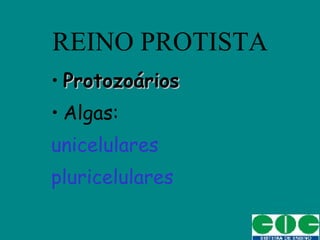 REINO PROTISTA ,[object Object],[object Object],[object Object],[object Object]
