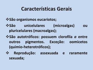 Características Gerais São organismos eucariotos; São unicelulares (microalgas) ou pluricelulares (macroalgas); São autotróficos: possuem clorofila  a  entre outros pigmentos. Exceção: oomicetos (quimio-heterotróficos); Reprodução: assexuada e raramente sexuada; 