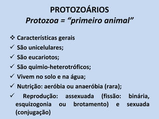PROTOZOÁRIOS Protozoa = “primeiro animal” Características gerais São unicelulares; São eucariotos; São quimio-heterotróficos; Vivem no solo e na água; Nutrição: aeróbia ou anaeróbia (rara); Reprodução: assexuada (fissão: binária, esquizogonia ou brotamento) e sexuada (conjugação) 