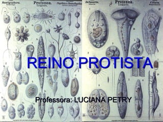 REINO PROTISTA
Professora: LUCIANA PETRY
 