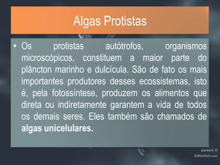 Os protistas autótrofos, organismos microscópicos, constituem a maior parte do plâncton marinho e dulcícula. São de fato os mais importantes produtores desses ecossistemas, isto é, pela fotossíntese, produzem os alimentos que direta ou indiretamente garantem a vida de todos os demais seres. Eles também são chamados de algas unicelulares.Algas Protistas