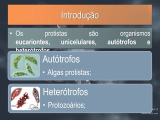 IntroduçãoOs protistas são organismos eucariontes, unicelulares, autótrofos e heterótrofos. 