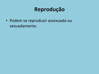 Reprodução Podem se reproduzir assexuada ou sexuadamente. 