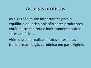As algas protistas As algas são muito importantes para o equilíbrio aquático pois são seres produtores então nutrem direta e indiretamente outros seres aquáticos. Além disso ao realizar a fotossíntese elas transformam o gás carbônico em gás oxigênio. 
