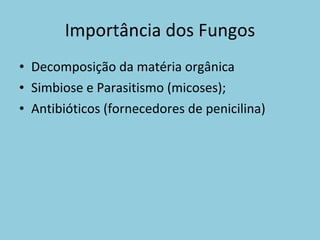 Importância dos Fungos Decomposição da matéria orgânica Simbiose e Parasitismo (micoses); Antibióticos (fornecedores de penicilina) 