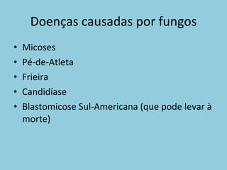 Doenças causadas por fungos Micoses Pé-de-Atleta Frieira Candidíase Blastomicose Sul-Americana (que pode levar à morte) 