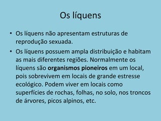 Os líquens Os líquens não apresentam estruturas de reprodução sexuada. Os líquens possuem ampla distribuição e habitam as mais diferentes regiões. Normalmente os líquens são  organismos pioneiros  em um local, pois sobrevivem em locais de grande estresse ecológico. Podem viver em locais como superfícies de rochas, folhas, no solo, nos troncos de árvores, picos alpinos, etc. 