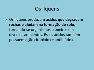 Os líquens Os liquens produzem  ácidos que degradam rochas e ajudam na formação do solo , tornando-se organismos pioneiros em diversos ambientes. Esses ácidos também possuem ação citotóxica e antibiótica. 