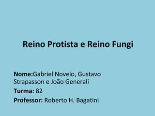 Reino Protista e Reino Fungi Nome: Gabriel Novelo, Gustavo Strapasson e João Generali Turma:  82 Professor:  Roberto H. Bagatini 