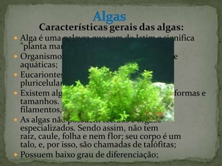 Características gerais das algas:
 Alga é uma palavra que vem do latim e significa
    "planta marinha;"
   Organismos simples quase exclusivamente
    aquáticas;
   Eucariontes unicelulares, coloniais ou
    pluricelulares;
   Existem algas pluricelulares de diferentes formas e
    tamanhos. Elas podem ter a forma de
    filamentos, lâminas ou ramos
   As algas não possuem tecidos e órgãos
    especializados. Sendo assim, não tem
    raiz, caule, folha e nem flor; seu corpo é um
    talo, e, por isso, são chamadas de talófitas;
   Possuem baixo grau de diferenciação;
 