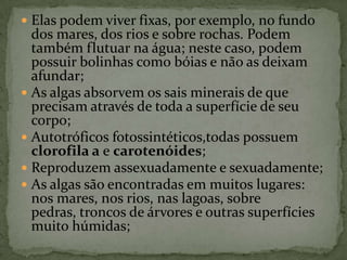  Elas podem viver fixas, por exemplo, no fundo
  dos mares, dos rios e sobre rochas. Podem
  também flutuar na água; neste caso, podem
  possuir bolinhas como bóias e não as deixam
  afundar;
 As algas absorvem os sais minerais de que
  precisam através de toda a superfície de seu
  corpo;
 Autotróficos fotossintéticos,todas possuem
  clorofila a e carotenóides;
 Reproduzem assexuadamente e sexuadamente;
 As algas são encontradas em muitos lugares:
  nos mares, nos rios, nas lagoas, sobre
  pedras, troncos de árvores e outras superfícies
  muito húmidas;
 