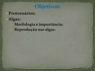  Protozoários;
 Algas;
   Morfologia e importância;
   Reprodução nas algas.
 