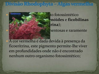  Possuem como pigmento fotossintético
  clorofila a e d e carotenóides e ficobilinas
  (ficocianina e ficoeritrina);
 São multicelulares filamentosas e raramente
  unicelulares;
 A cor vermelha é dada devida à presença da
  ficoeritrina, este pigmento permite-lhe viver
  em profundidades onde não é encontrado
  nenhum outro organismo fotossintético;
 