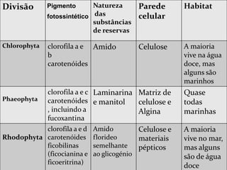 Divisão       Pigmento       Natureza      Parede       Habitat
              fotossintético das           celular
                             substâncias
                             de reservas

Chlorophyta   clorofila a e Amido          Celulose     A maioria
              b                                         vive na água
              carotenóides                              doce, mas
                                                        alguns são
                                                        marinhos
           clorofila a e c   Laminarina Matriz de       Quase
Phaeophyta carotenóides      e manitol  celulose e      todas
           , incluindo a                Algina          marinhas
           fucoxantina
           clorofila a e d   Amido         Celulose e   A maioria
Rhodophyta carotenóides      florideo      materiais    vive no mar,
           ficobilinas       semelhante    pépticos     mas alguns
           (ficocianina e    ao glicogénio              são de água
           ficoeritrina)
                                                        doce
 