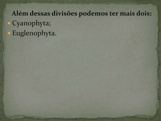 Além dessas divisões podemos ter mais dois:
 Cyanophyta;
 Euglenophyta.
 