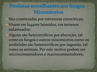  São constituidas por estruturas cenocíticas;
 Vivem em lugares húmidos, em terrenos
  enlameados;
 Alguns são heterotróficos por absorção, tal
  como os fungos e outros mixomicetos como os
  amibóides são heterotróficos por ingestão, tal
  como os animais. Por este motivo podem ser
  microconsumidores e macroconsumidores;
 