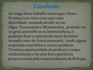  Ao longo desse trabalho vimos que o Reino
 Protista é um reino com uma vasta
 diversidade, podendo dividir-se em:
 Algas, Protozoários e Mixomicetos, podendo ser
 no geral autotróficos ou heterotróficos, e
 podendo fazer a reprodução tanto de forma
 sexuada como de forma assexuada , tendo alguns
 respiração anaeróbica e outros aeróbicos.
 Tivemos a oportunidade de produzir o nosso
 conhecimento e foi uma boa experiência
 proporcionada pela nossa professora de Biologia.
 