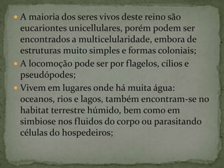  A maioria dos seres vivos deste reino são
  eucariontes unicellulares, porém podem ser
  encontrados a multicelularidade, embora de
  estruturas muito simples e formas coloniais;
 A locomoção pode ser por flagelos, cílios e
  pseudópodes;
 Vivem em lugares onde há muita água:
  oceanos, rios e lagos, também encontram-se no
  habitat terrestre húmido, bem como em
  simbiose nos fluidos do corpo ou parasitando
  células do hospedeiros;
 