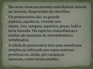  São seres vivos eucariontes unicelulares móveis
  ou imóveis, desprovidos de clorofilas;
 Os protozoários são, na grande
  maioria, aquáticos, vivendo nos
  mares, rios, tanques, aquários, poças, lodo e
  terra húmida. Há espécies mutualisticas e
  muitas são parasitas de invertebrados e
  vertebrados;
 A célula do protozoário tem uma membrana
  simples ou reforçada por capas externas
  protéicas ou, ainda, por carapaças
  minerais, como certas amebas;
 