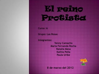 El reino
   Protista
Curso :6

Grupo: Las Rosas

Integrantes:
              Yenny Camacho
           María Fernanda Rocha
...