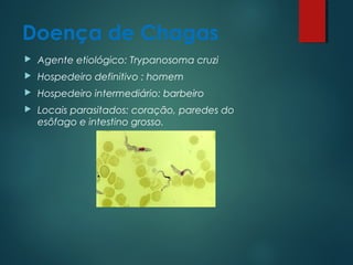Doença de Chagas
 Agente etiológico: Trypanosoma cruzi
 Hospedeiro definitivo : homem
 Hospedeiro intermediário: barbeiro
 Locais parasitados: coração, paredes do
esôfago e intestino grosso.
 
