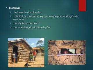  Profilaxia:
 tratamento dos doentes;
 substituição de casas de pau-a-pique por construção de
alvenaria;
 combate ao barbeiro;
 conscientização da população.
 