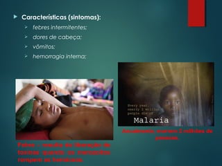 Características (sintomas):
 febres intermitentes;
 dores de cabeça;
 vômitos;
 hemorragia interna;
Febre – resulta da liberação de
toxinas quando os merozoítos
rompem as hemáceas.
Anualmente, morrem 2 milhões de
pessoas.
 