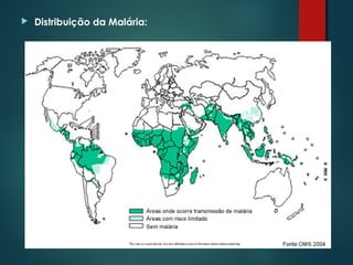  Distribuição da Malária:
 