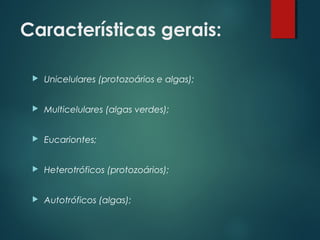 Características gerais:
 Unicelulares (protozoários e algas);
 Multicelulares (algas verdes);
 Eucariontes;
 Heterotróficos (protozoários);
 Autotróficos (algas);
 