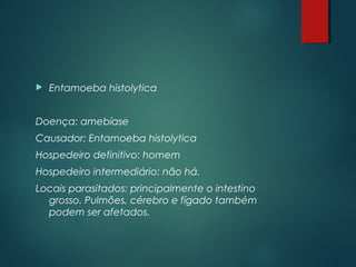  Entamoeba histolytica
Doença: amebíase
Causador: Entamoeba histolytica
Hospedeiro definitivo: homem
Hospedeiro intermediário: não há.
Locais parasitados: principalmente o intestino
grosso. Pulmões, cérebro e fígado também
podem ser afetados.
 